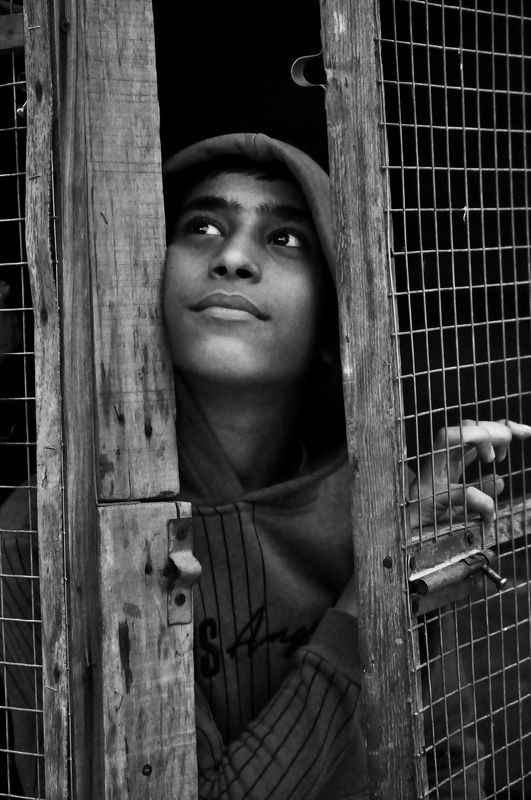 Hey, there\'s hope the next horizon might be better фото превью