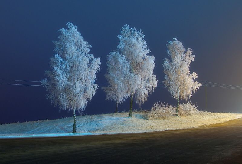 Анабиоз фото превью