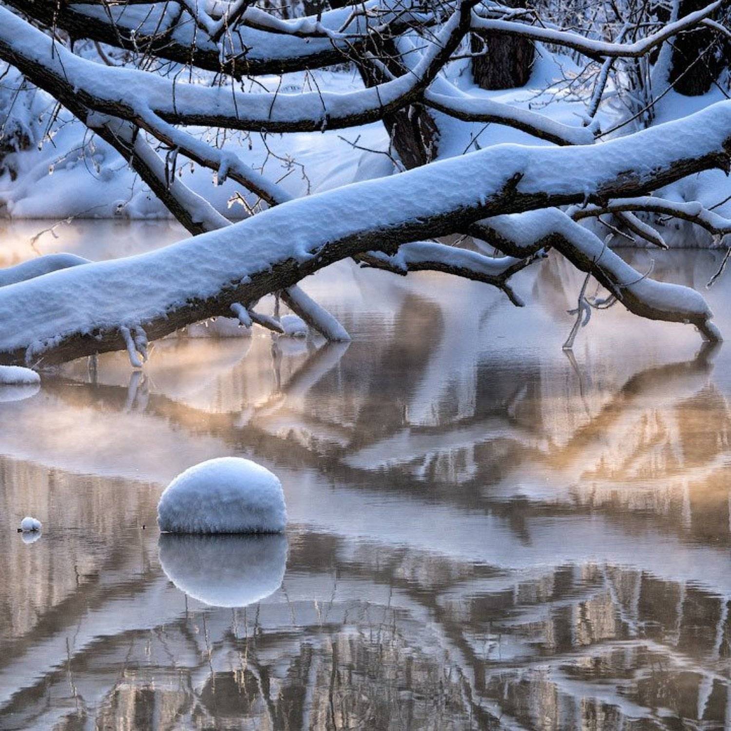 Дерево, Зима, Озеро, Отражение, Протока, Снег, Шатура, Алексей Харитонов