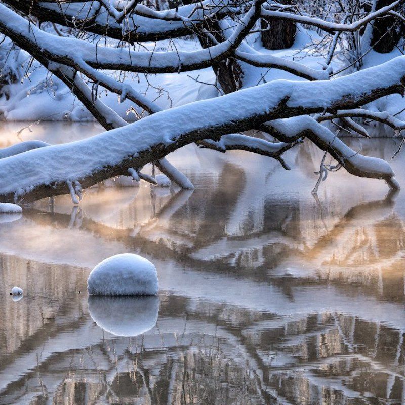Дерево, Зима, Озеро, Отражение, Протока, Снег, Шатура Шатурские отражения фото превью