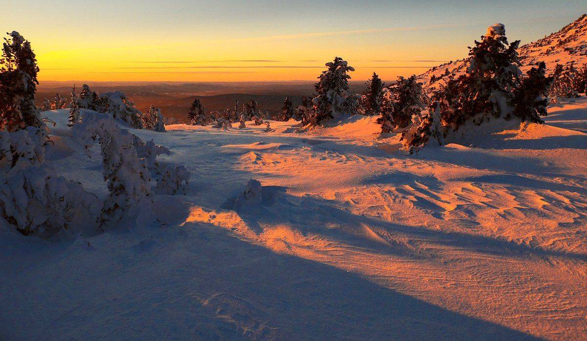 Вечер, Горная шория, Закат, Зима, Кедры, Пихты, Свет, Сибирь, Снег, Тени, Шерегеш, Валерий Пешков