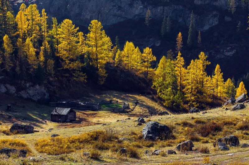 СУРОВЫЙ БЫТ В КРАЮ ВЕЛИКАНОВ. фото превью