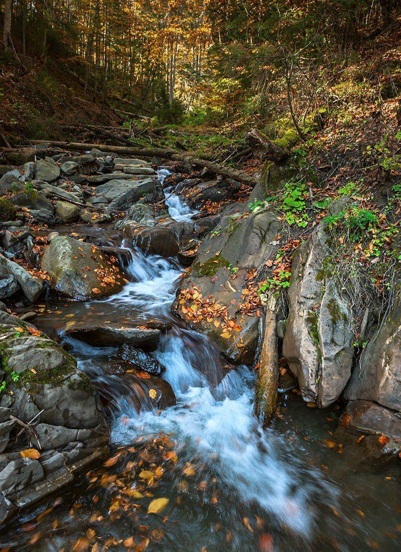 , Валерий Смирнов