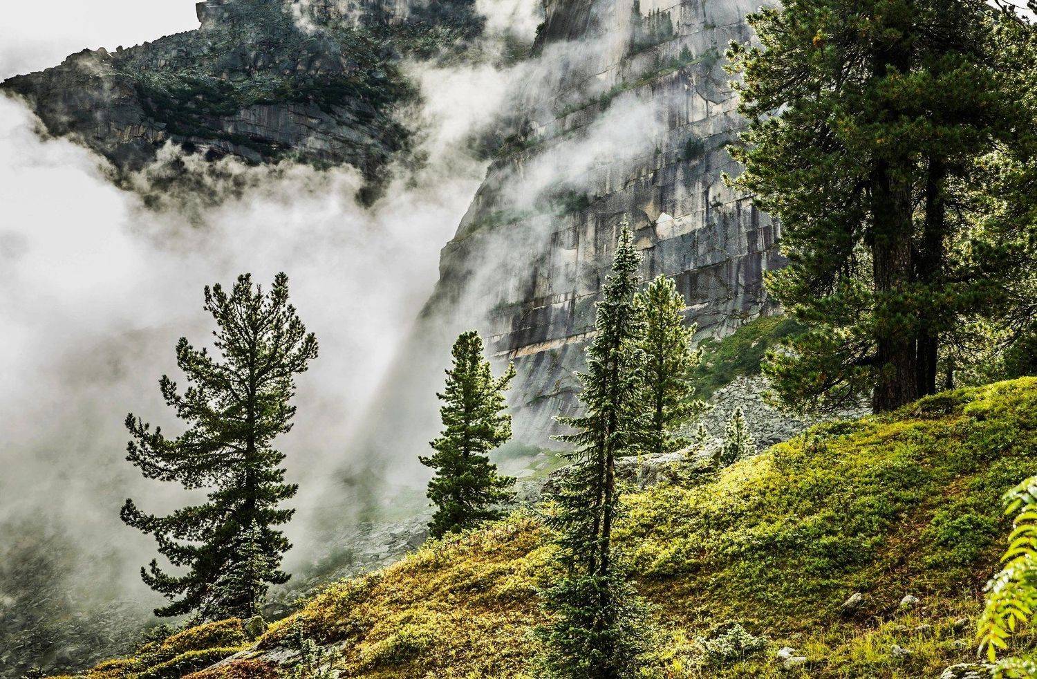 , Алексей Кретов