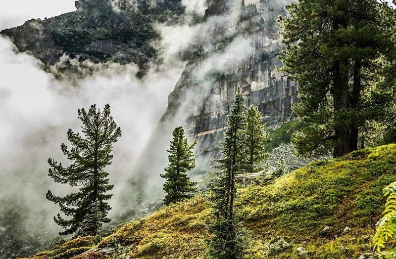 по спинам скал туман клубился фото превью