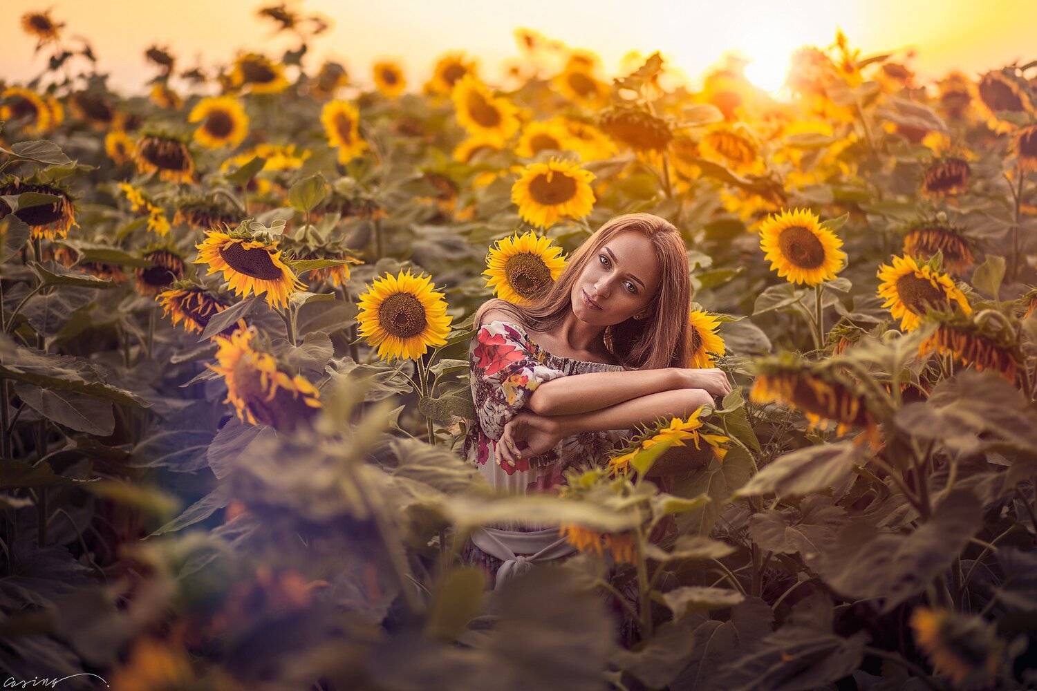 sun, sunset, sunflovers, Casing