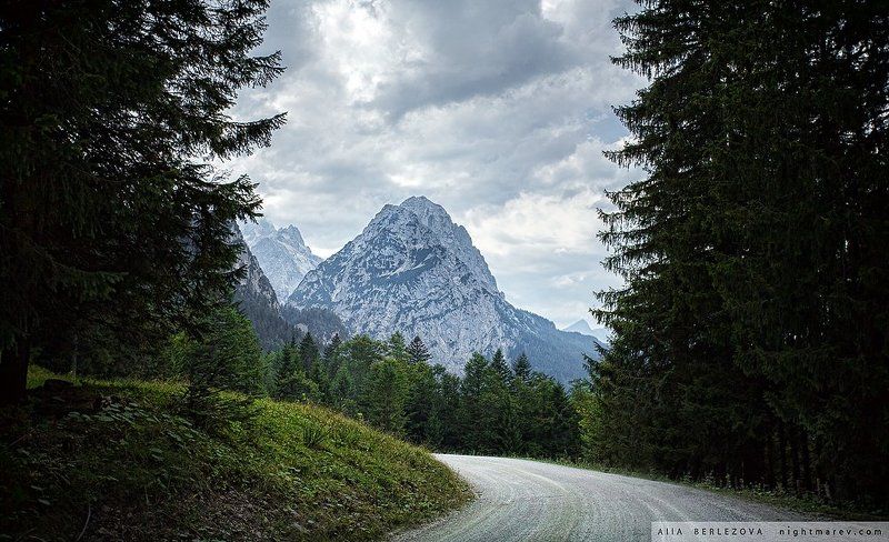 Альпы, Бавария, Германия, Горный пейзаж, Горы, Дорога, Лес . фото превью