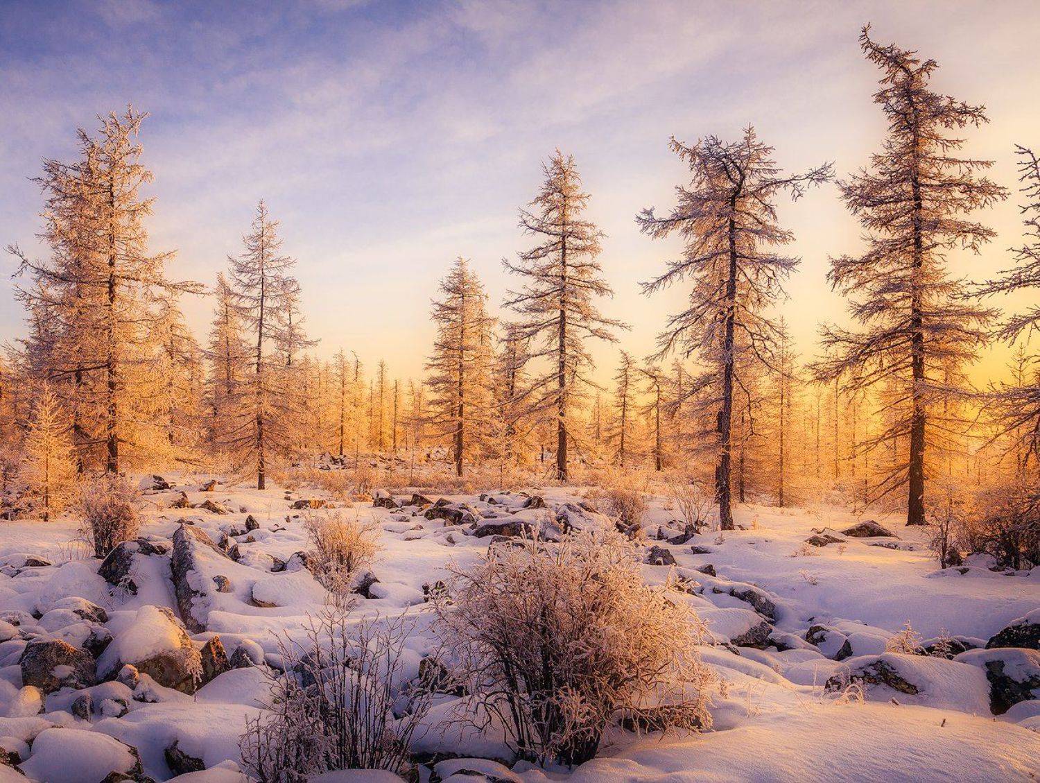 , Минаев Павел