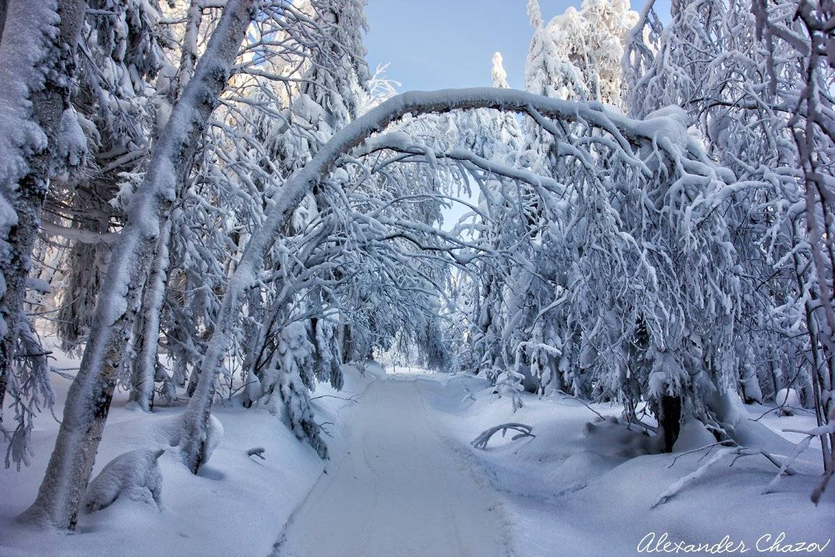 Россия, Урал, зима, лес, дорога, снег, Чазов Александр