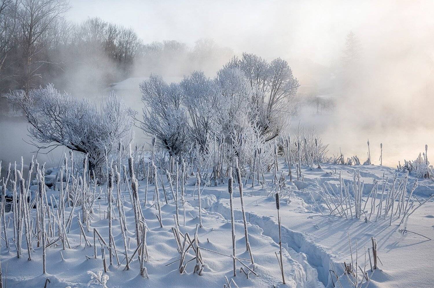 , Анатолий Зверев