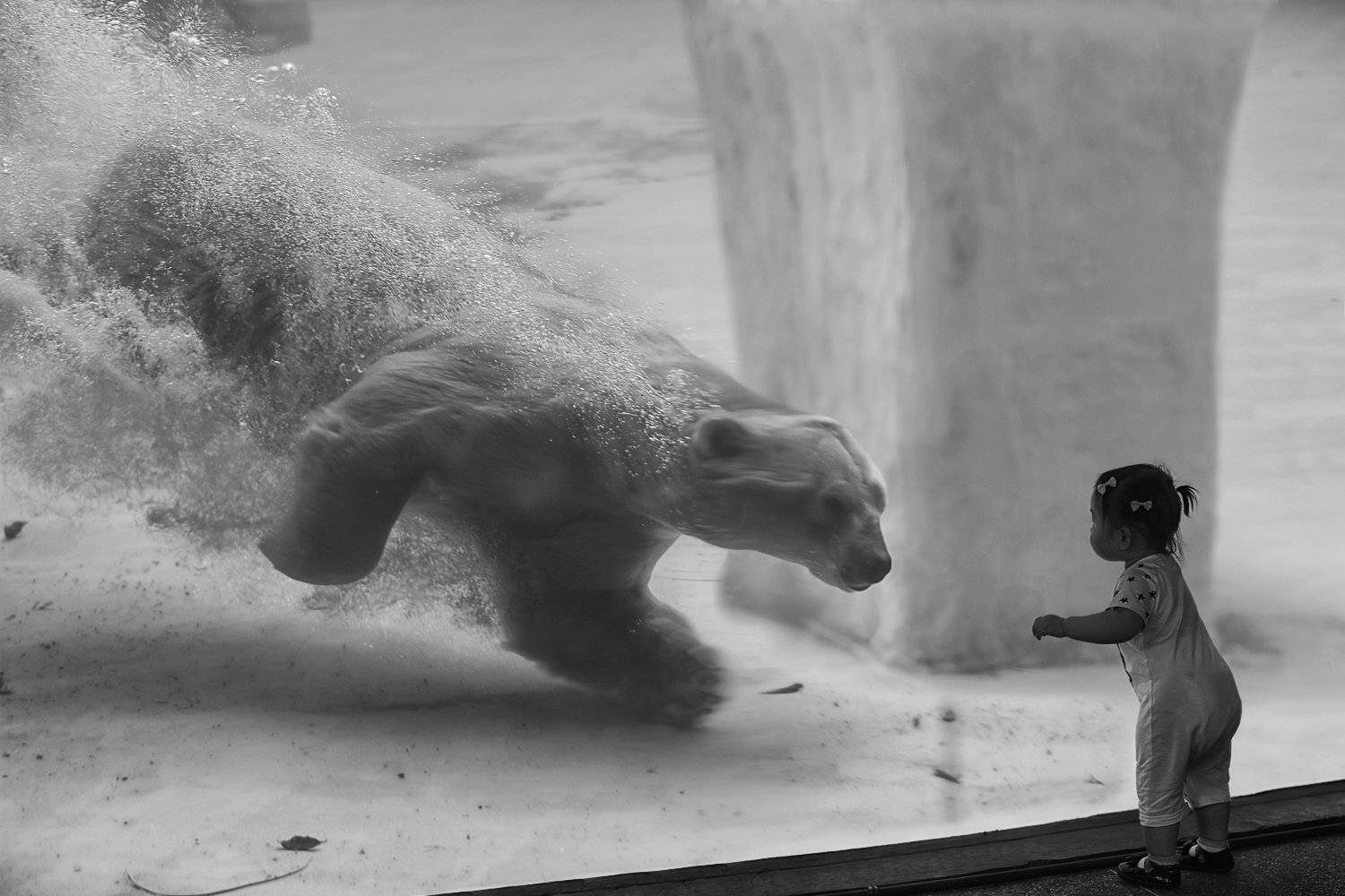 аквапарк, аквариум, белый медведь, водапузыри, девочка, полярный медведь, ребёнок, сингапур, скорость, ALLA SOKOLOVA