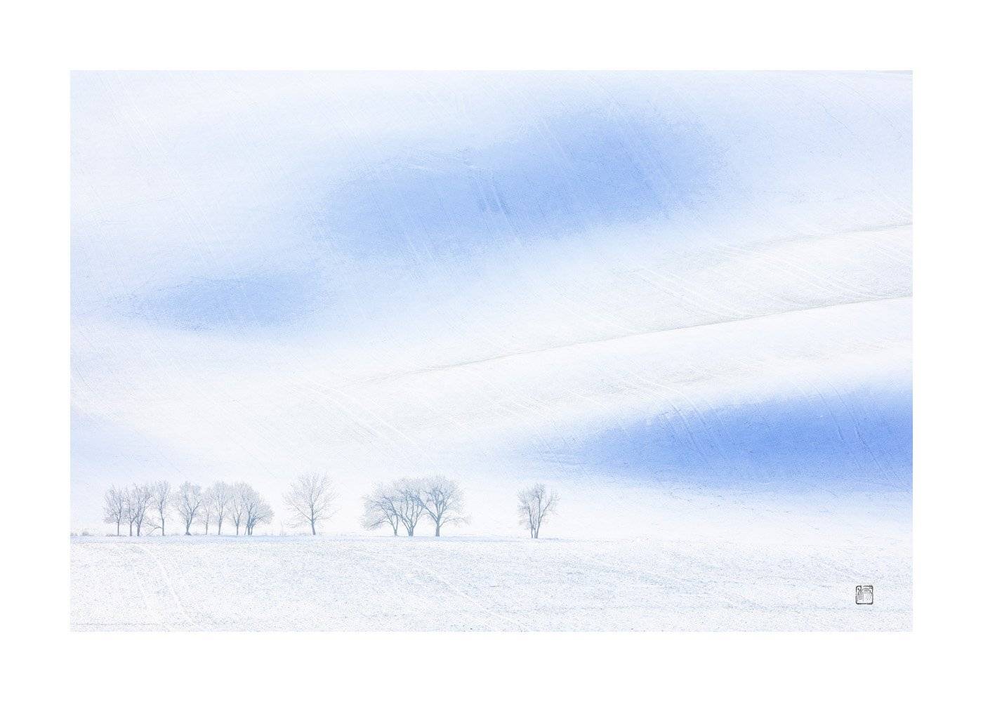 tree winter south moravy, hong seungpyo