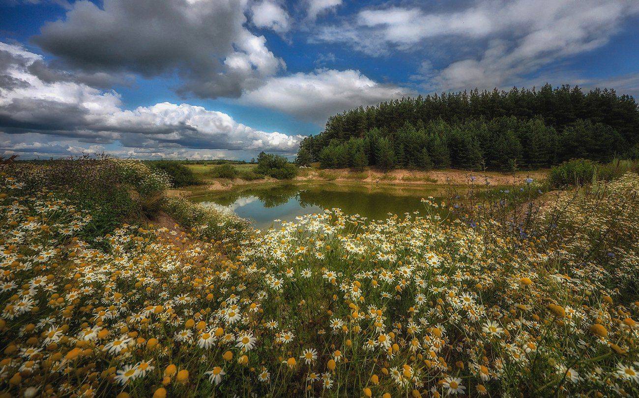 , Сергей (Bekr)