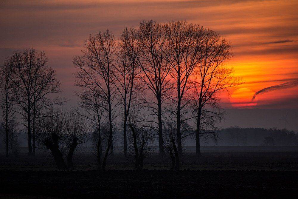 , Pawel Plucinski