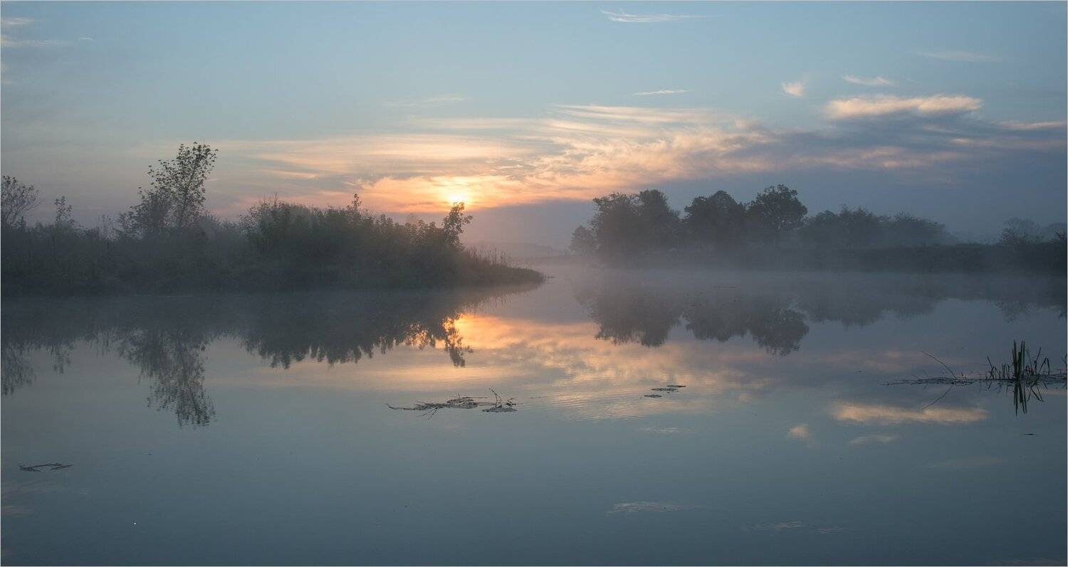 , Николай Шахманцир