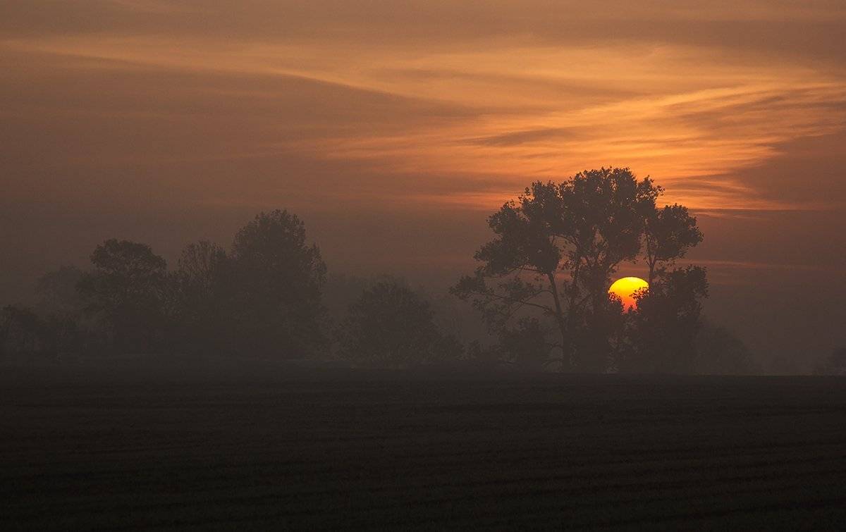 , Pawel Plucinski