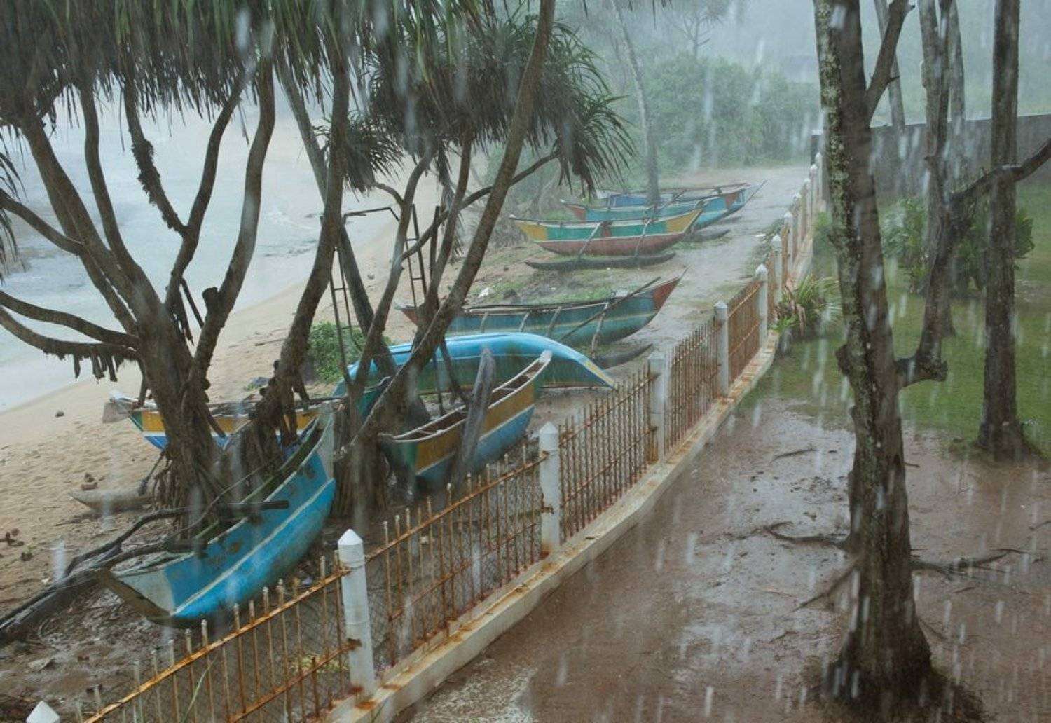 , Алексей Душка