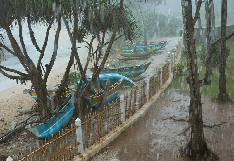 тропики фото превью