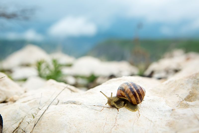 Маленький мир фото превью