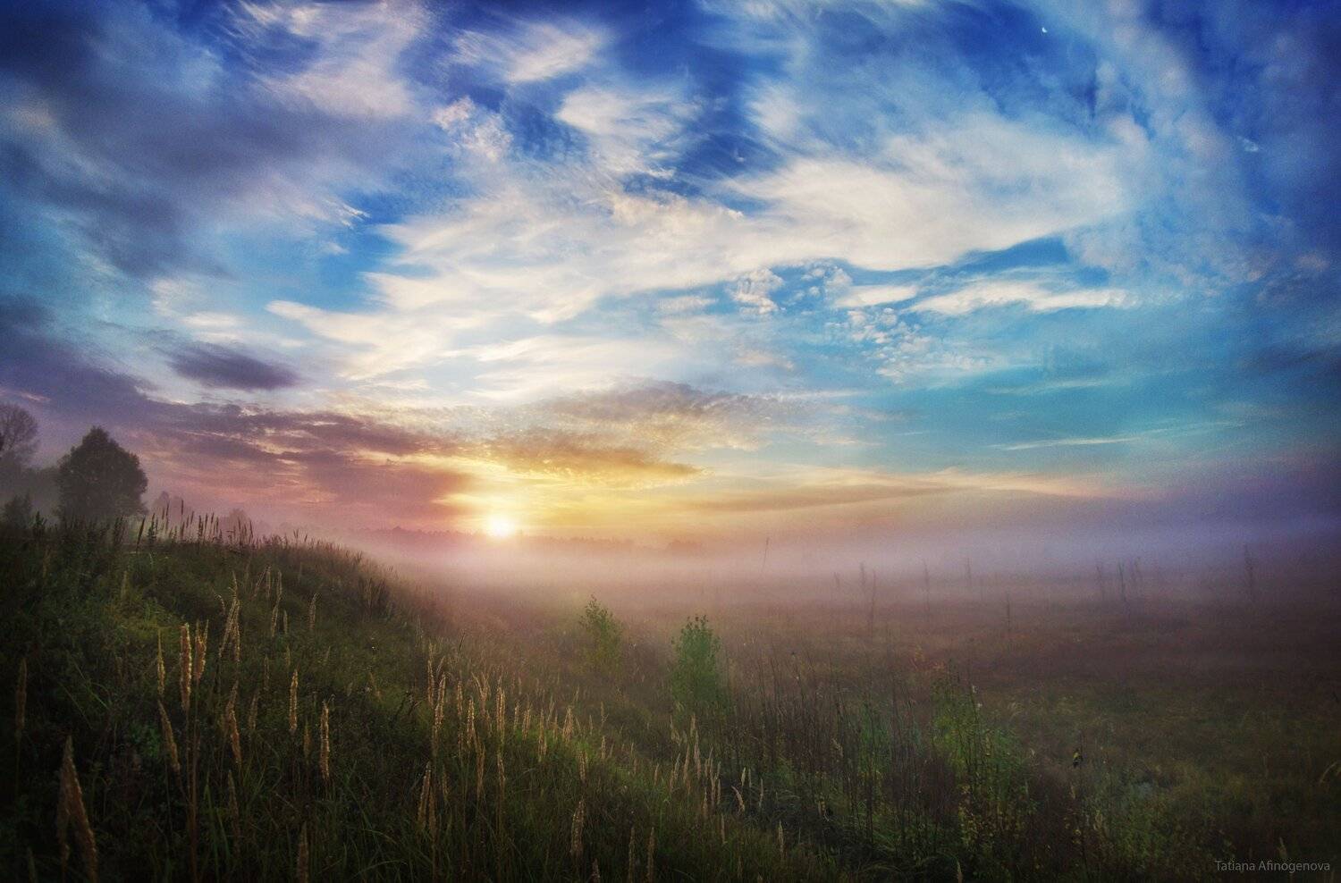 утро туман солнце небо облака пеленг, Татьяна Афиногенова