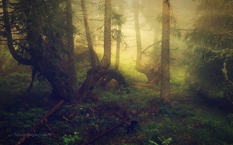 . фото превью