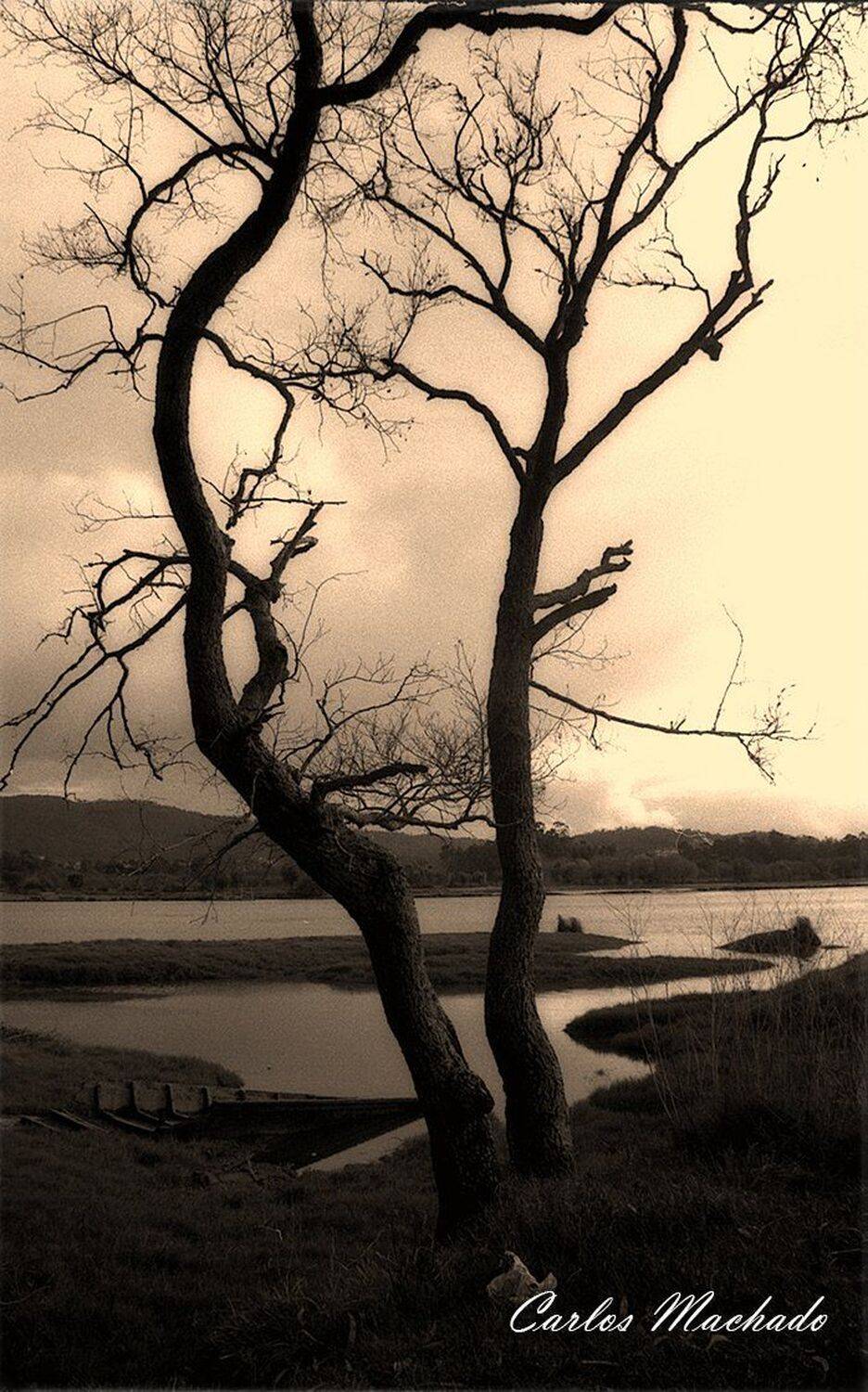 nature, landscape, black & white, travel, genre portrait,, Carlos Machado