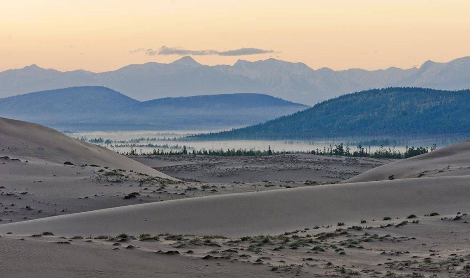 , Сергей Козлов