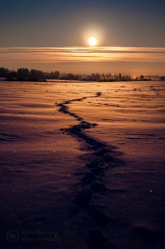Луна, полная Луна, мороз, снег, астрофото, ночной пейзаж, лунный пейзаж, полнолуние, , Харланов Никита