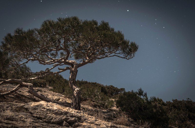 средь звезд  фото превью