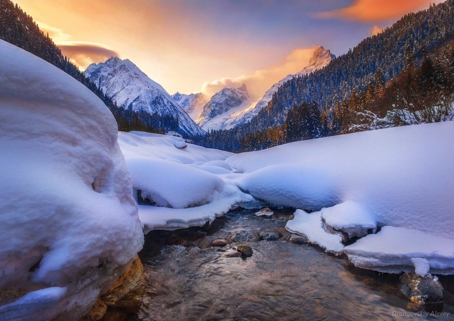 , Алексей Дранговский