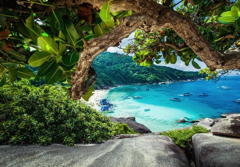 С дальних берегов... фото превью