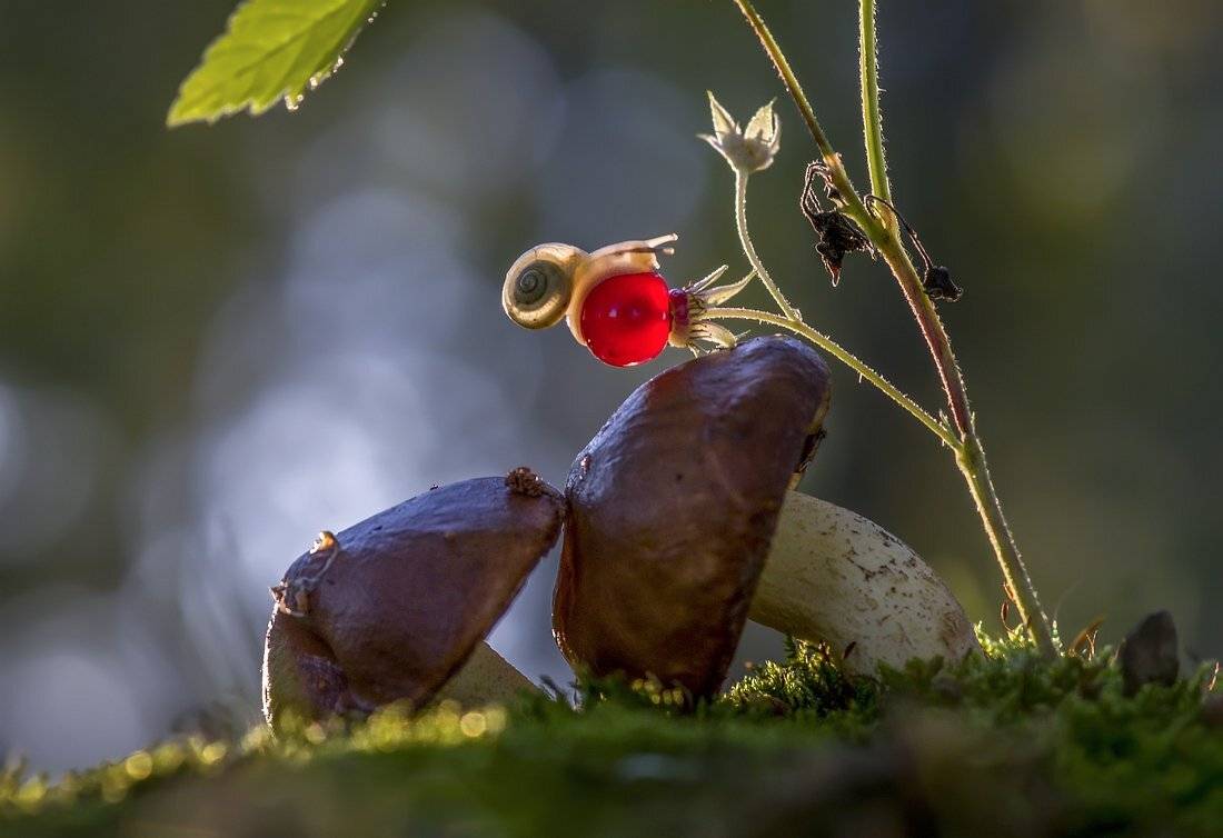 , Анатольевич