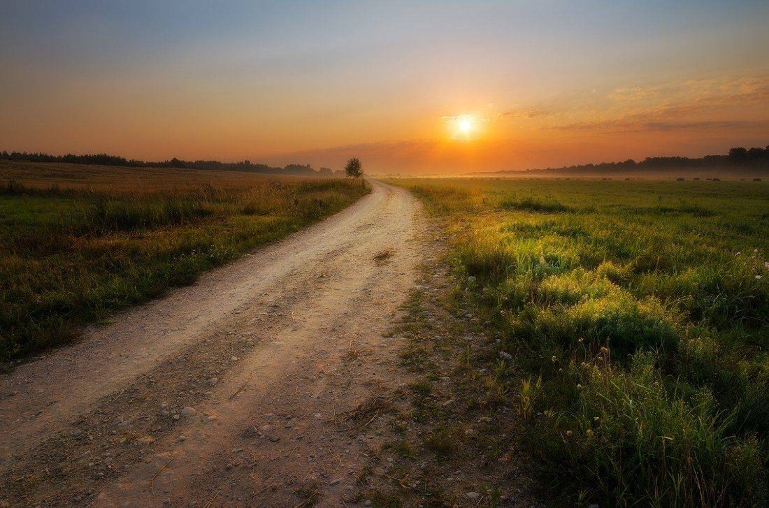 Light, Meadow, Road, Summer, Sunrise, Justinas Kondrotas