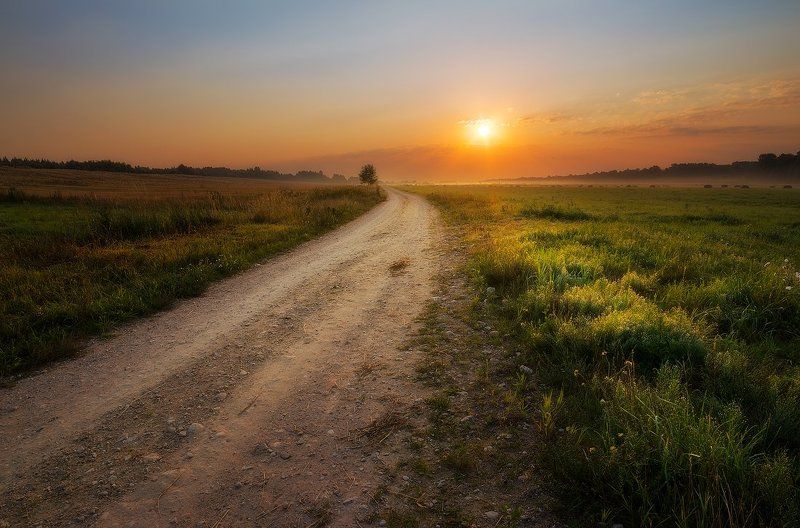 Light, Meadow, Road, Summer, Sunrise Summer memories фото превью