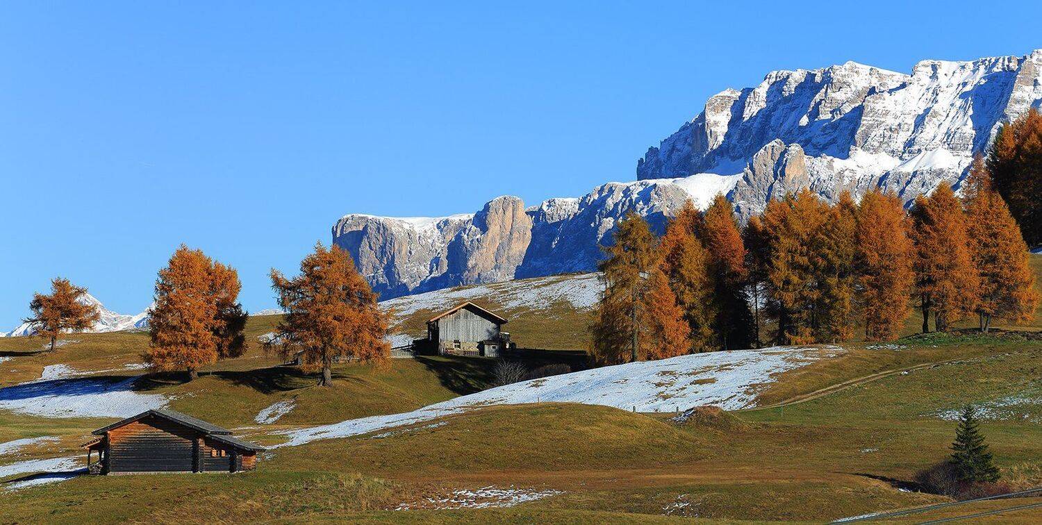 , Игорь Дубровский