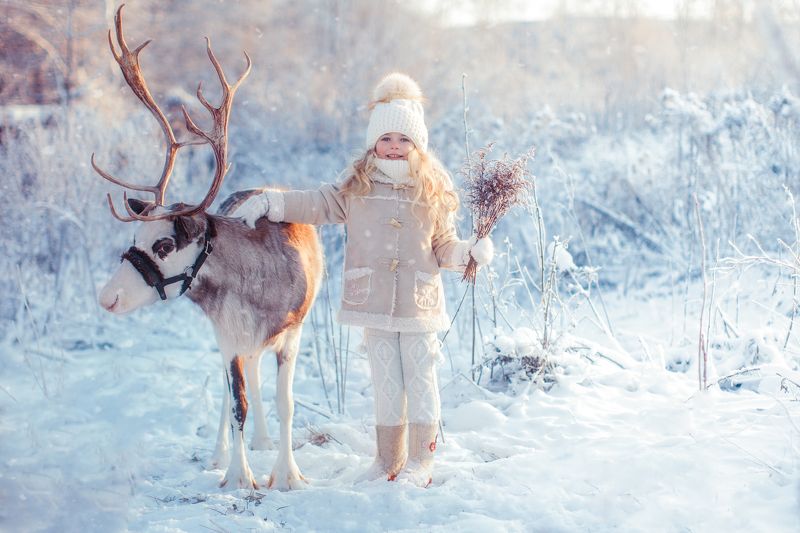 Зимняя сказка фото превью