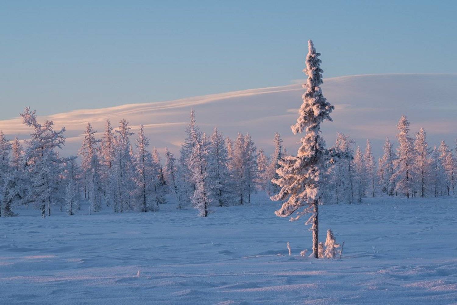 ямал, зима, тундра, лесотундра, Екатерина (PhotoJourneys.ru) Васягина