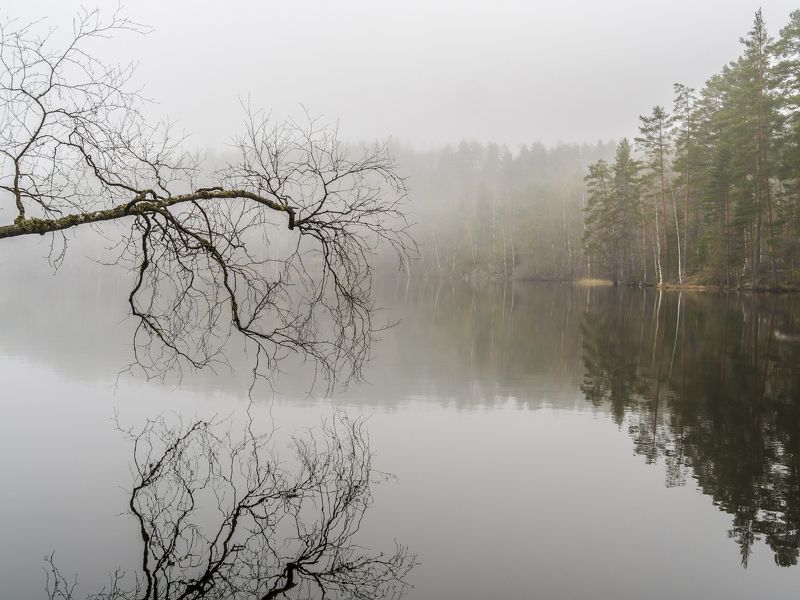Утро в Карелии фото превью