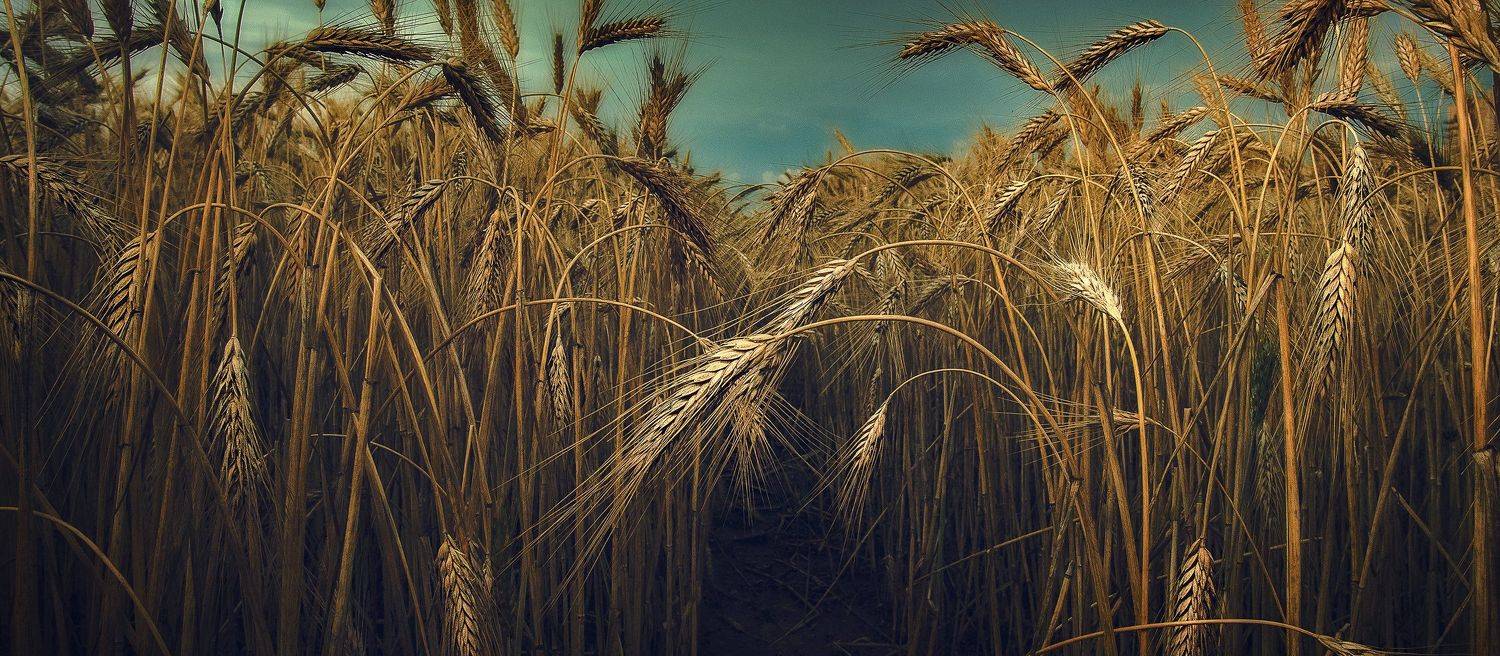 , Алексей Бордуков