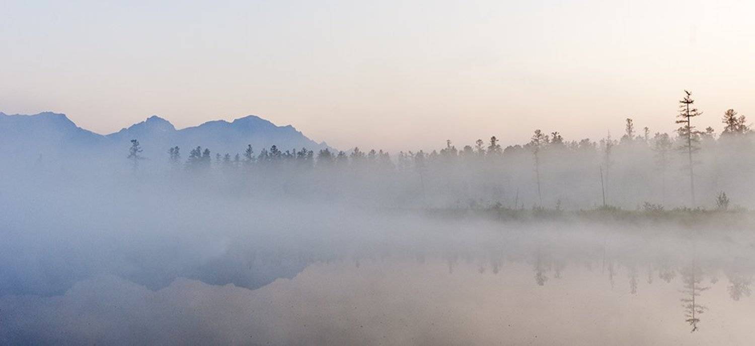 , Сергей Козлов