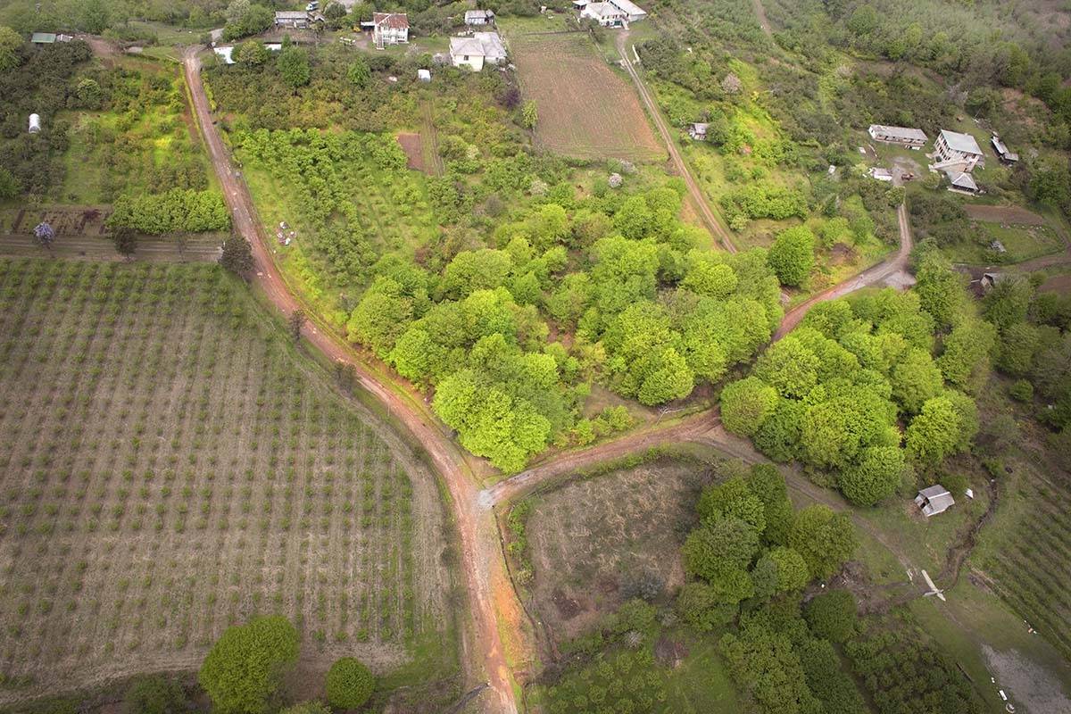 Абхазия, сады, поля, сельское хозяйство, аэро, aerial, Борис Резванцев