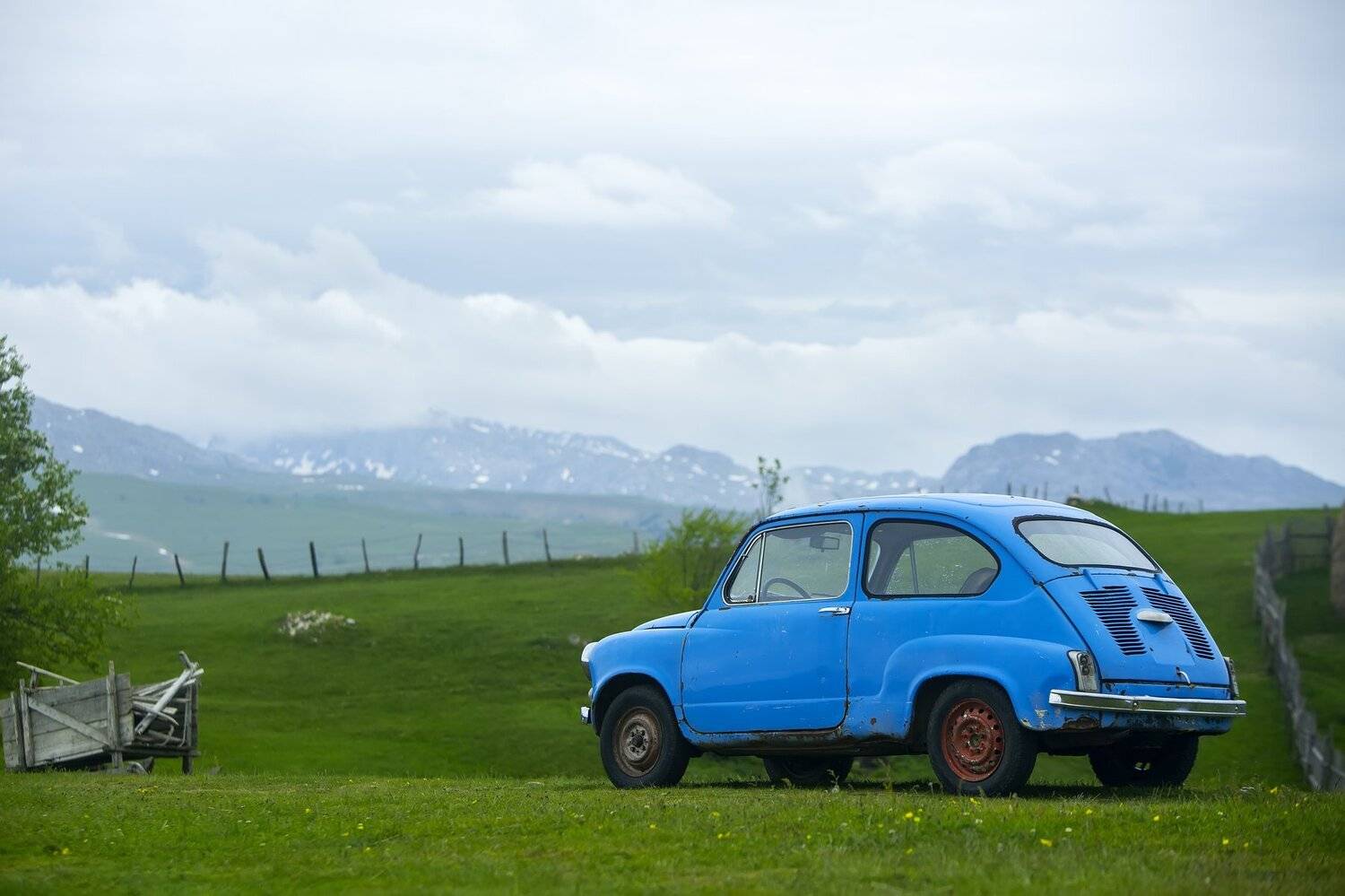 , Даша Горбунова