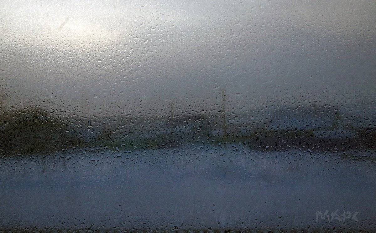 , Шангареев Марс