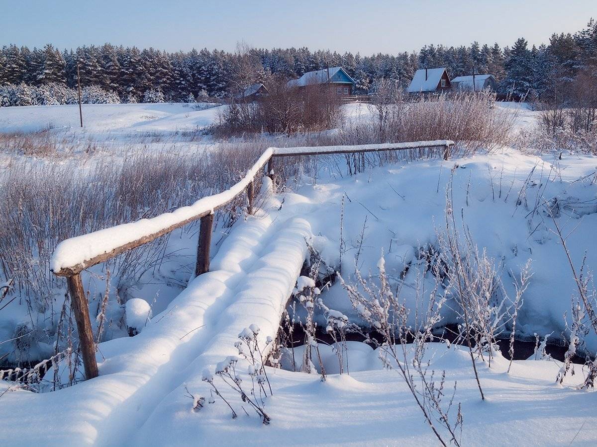 , Владимир Перепечаев