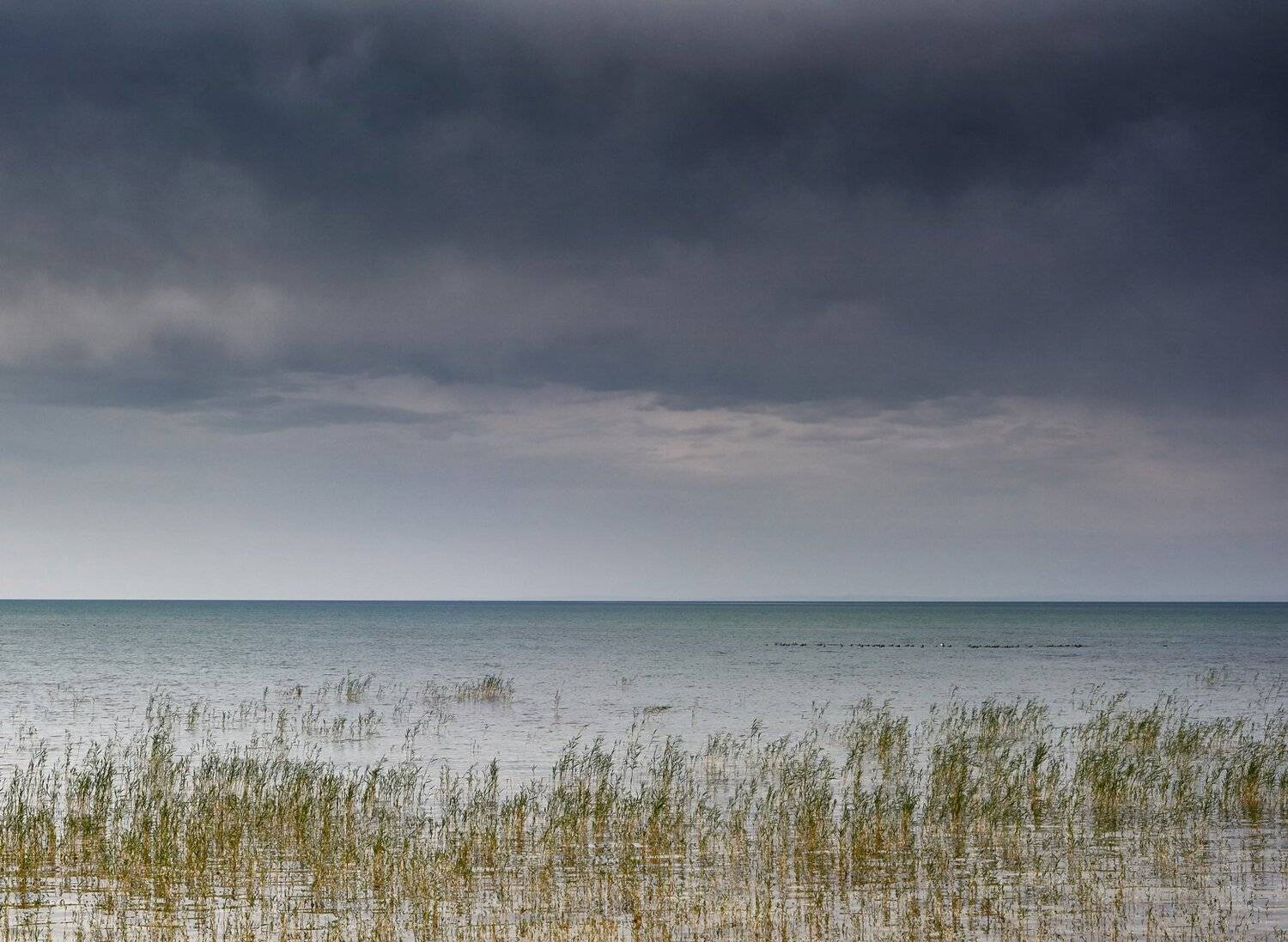 , Сергей Романчук