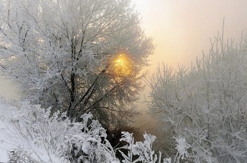 Рассвет января.