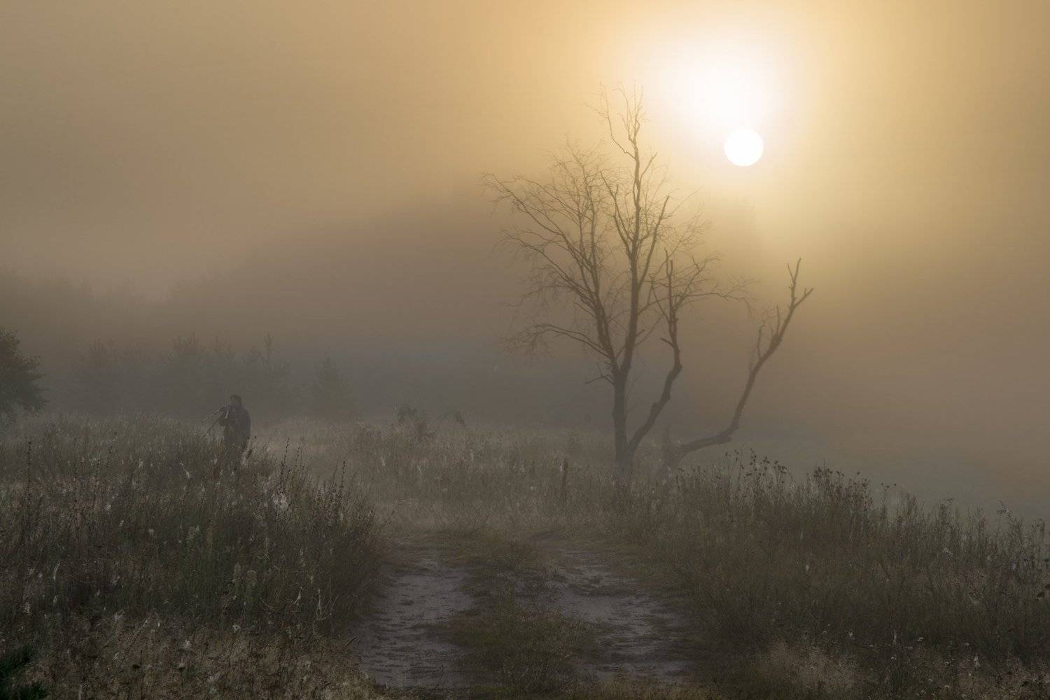 landscape, nature, river, russia, summer, sunset, лето, пейзаж, природа, рассвет, река, россия, смоленская область, солнце, туман, угра, Денис Щербак