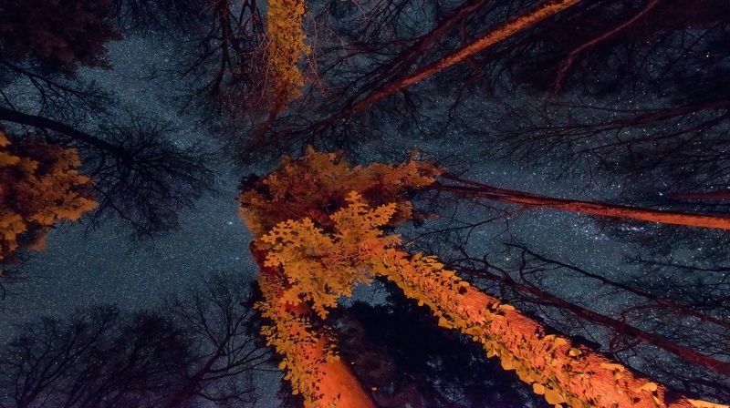 Лёжа у костра фото превью