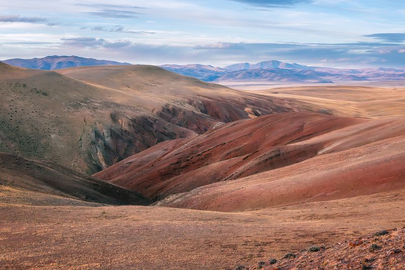 Урочище Кокоря (Горный Алтай) фото превью