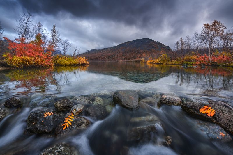 Поздняя осень... фото превью